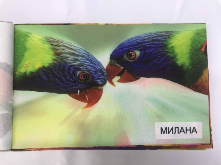 Печать на ткани Милана
